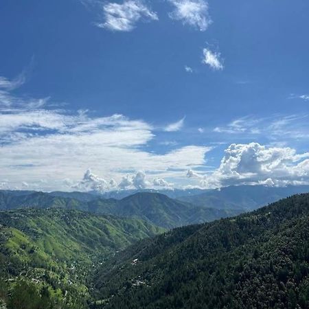 Peace Holiday Homestay Chail Dış mekan fotoğraf