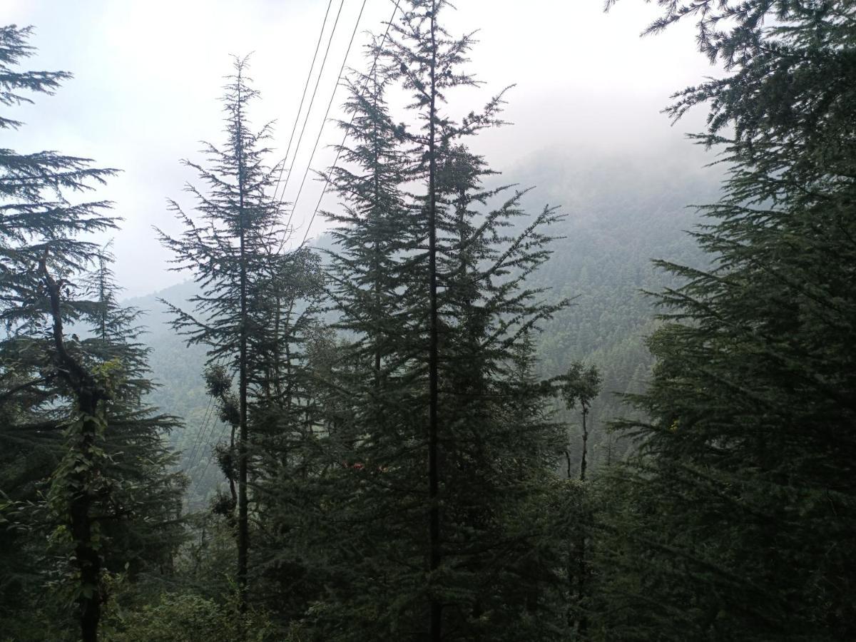 Peace Holiday Homestay Chail Dış mekan fotoğraf