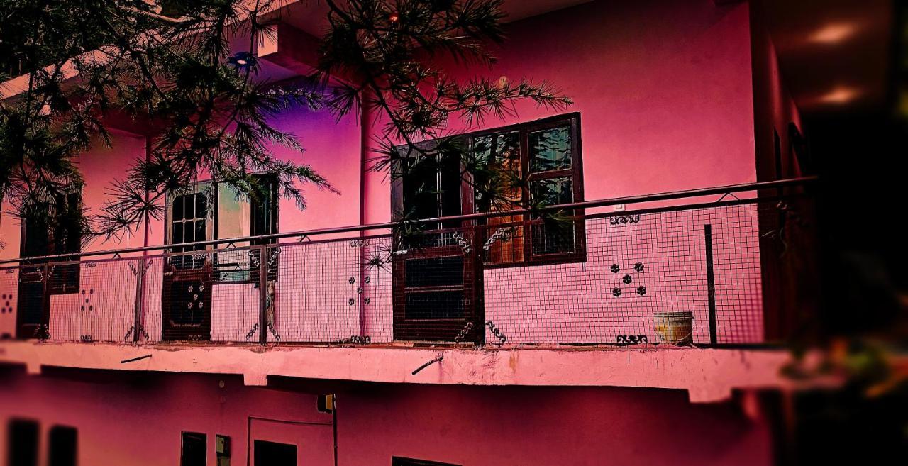 Peace Holiday Homestay Chail Dış mekan fotoğraf