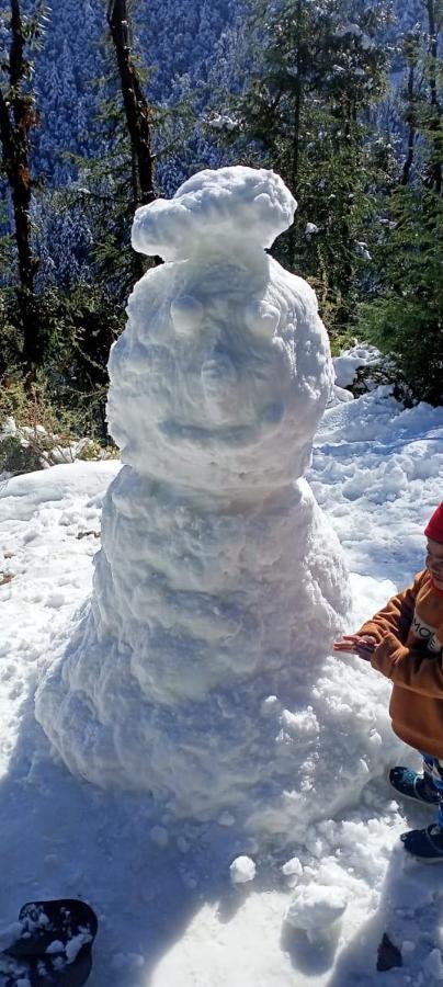 Peace Holiday Homestay Chail Dış mekan fotoğraf