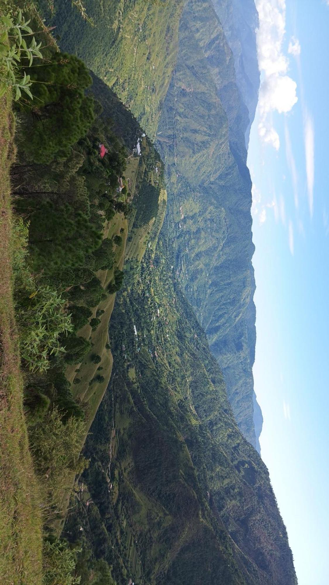 Peace Holiday Homestay Chail Dış mekan fotoğraf