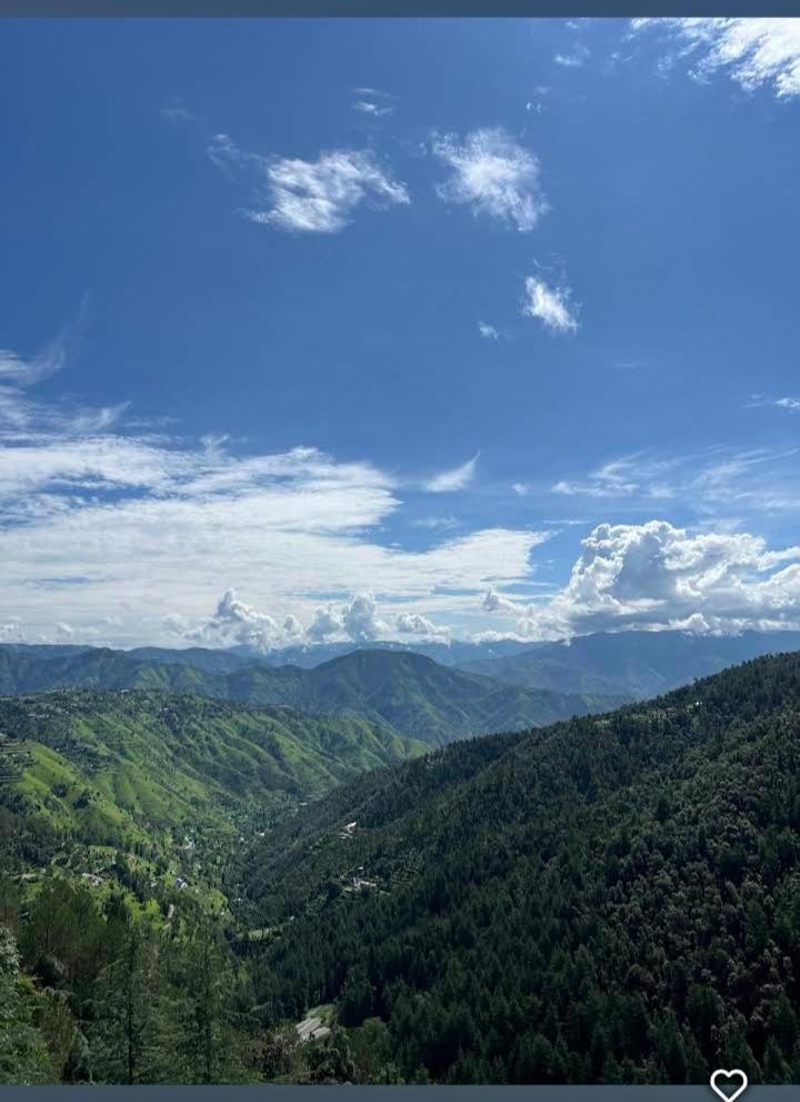 Peace Holiday Homestay Chail Dış mekan fotoğraf